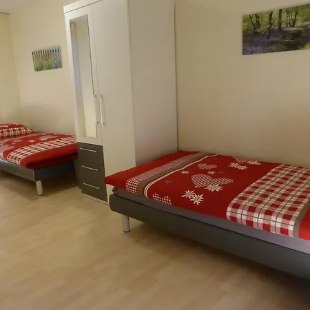 J21 Orchidee Apartment Brienz (Albula)